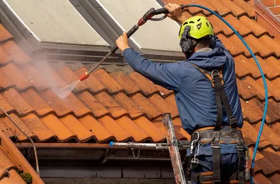 Démoussage et hydrofuge de toiture à Girolles